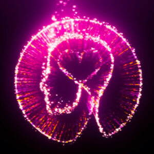 Group logo of Heart Mind Coherence